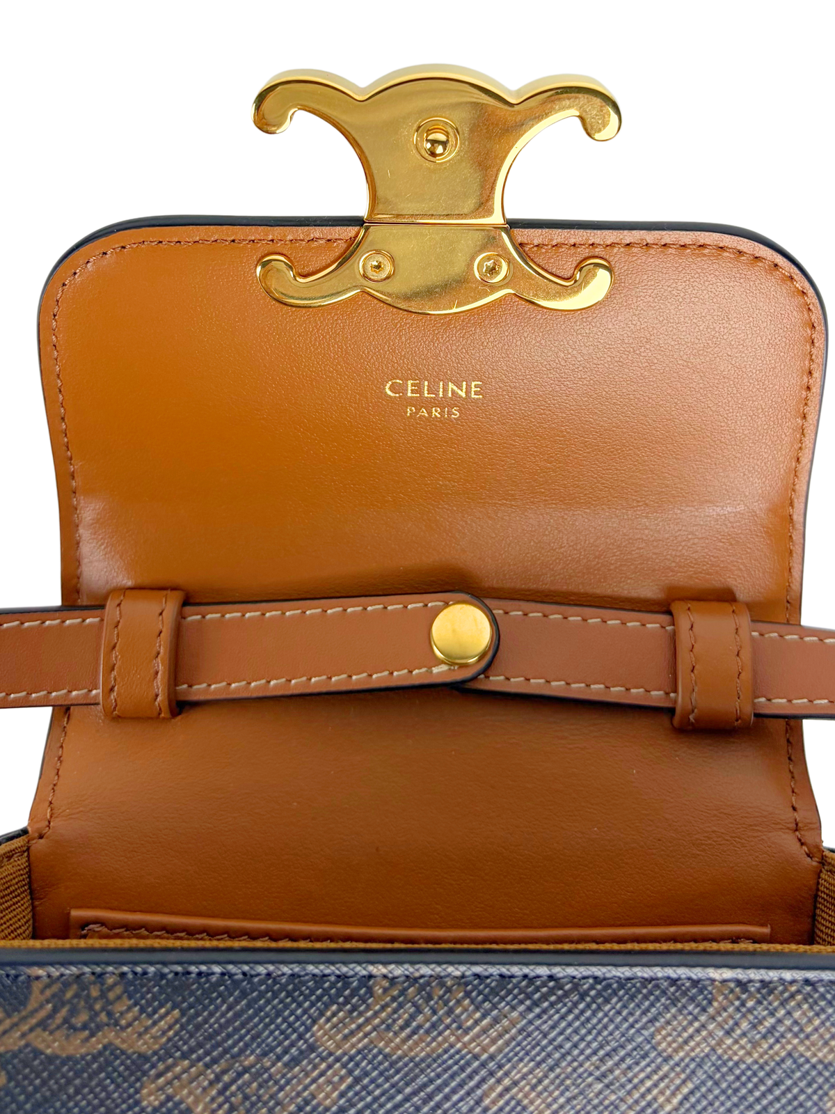 Celine Mini Triomphe Bag in Triomphe Canvas