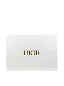 Dior Medium Saddle Bag in Biscuit