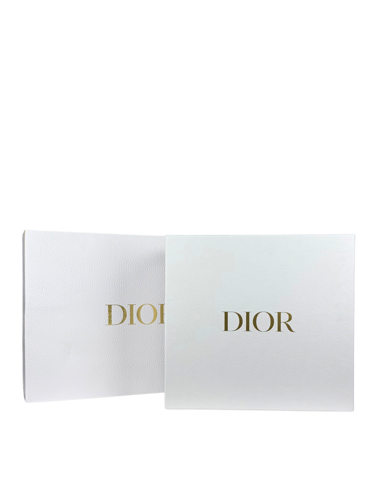 Dior Medium Saddle Bag in Biscuit