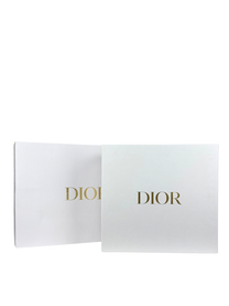 Dior Medium Saddle Bag in Biscuit