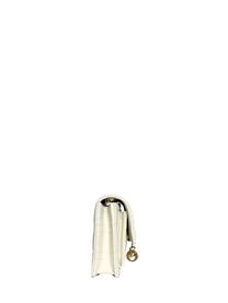 Dior My Dior Daily Pouch with Chain White Cannage Lambskin