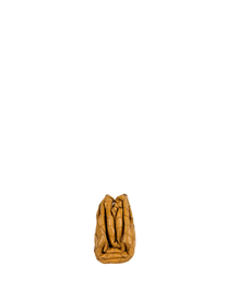 Bottega Veneta Mini Intrecciato Pouch in Tan