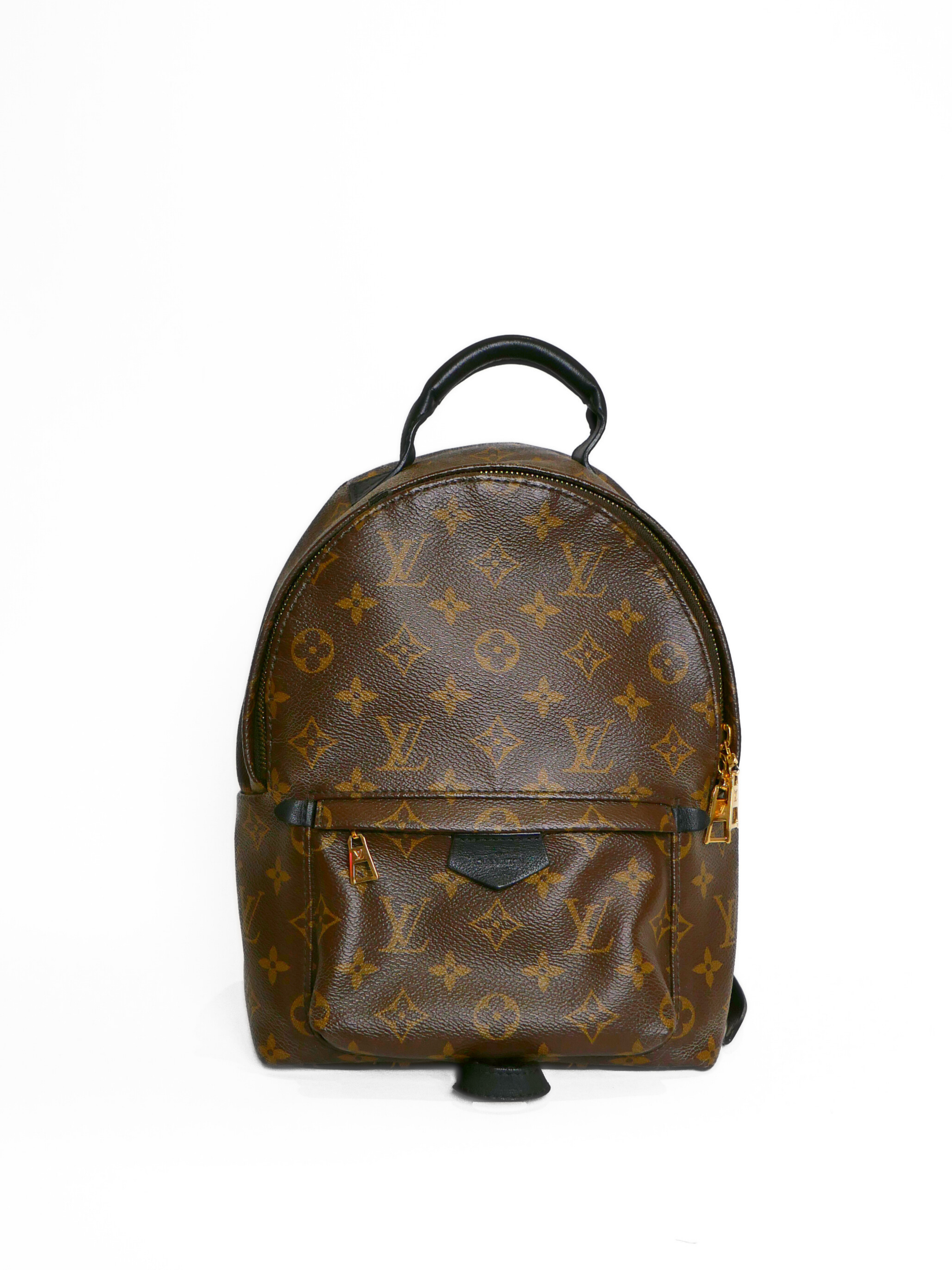 Louis Vuitton Monogram Palm Springs PM Backpack
