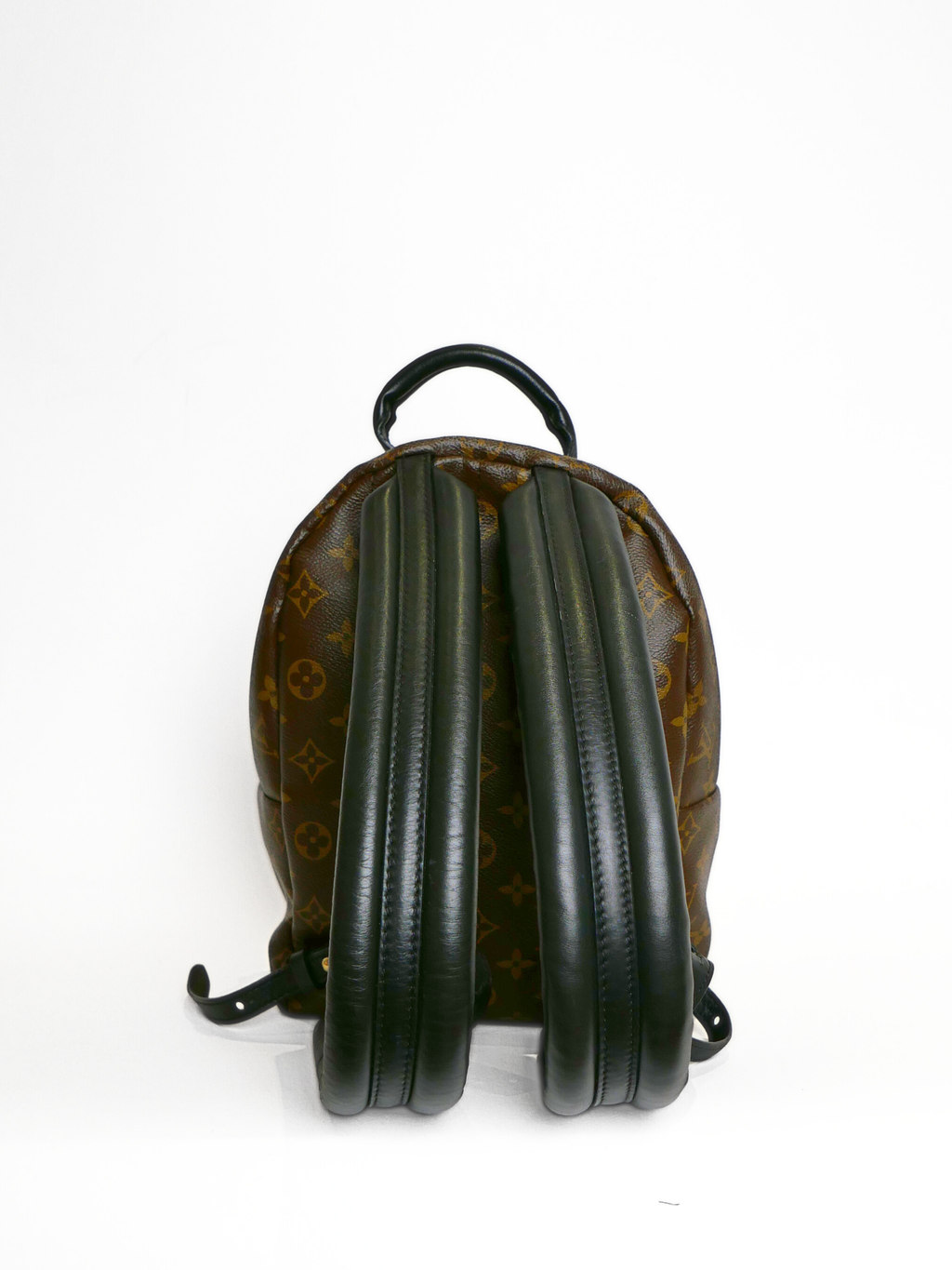 Louis Vuitton Monogram Palm Springs PM Backpack