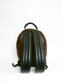 Louis Vuitton Monogram Palm Springs PM Backpack