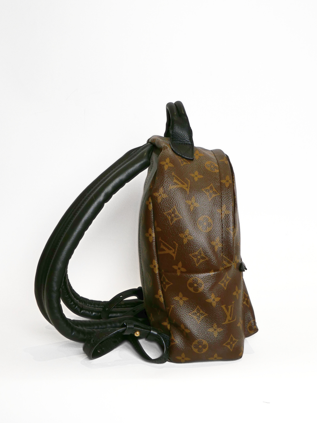 Louis Vuitton Monogram Palm Springs PM Backpack