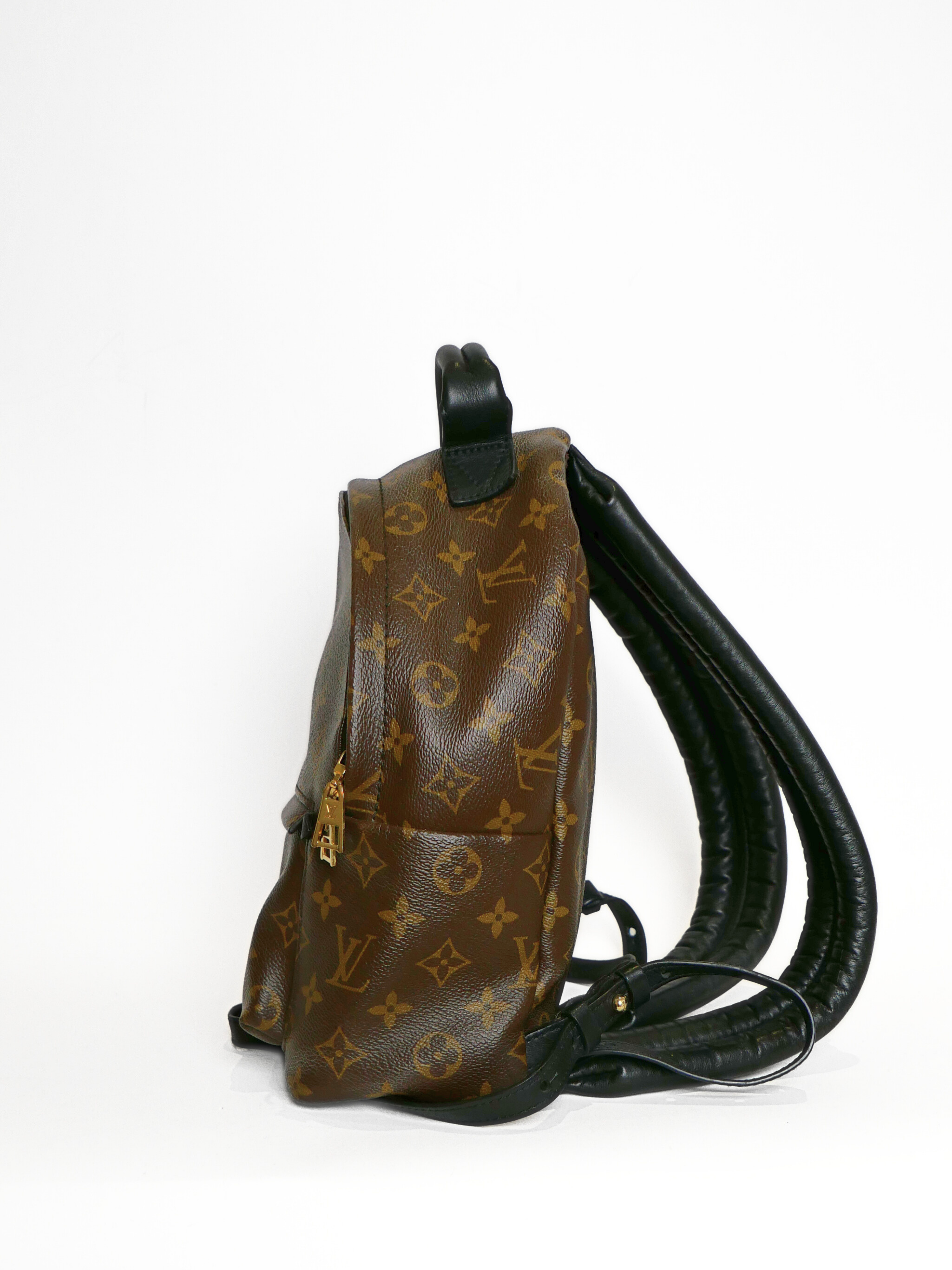 Louis Vuitton Monogram Palm Springs PM Backpack