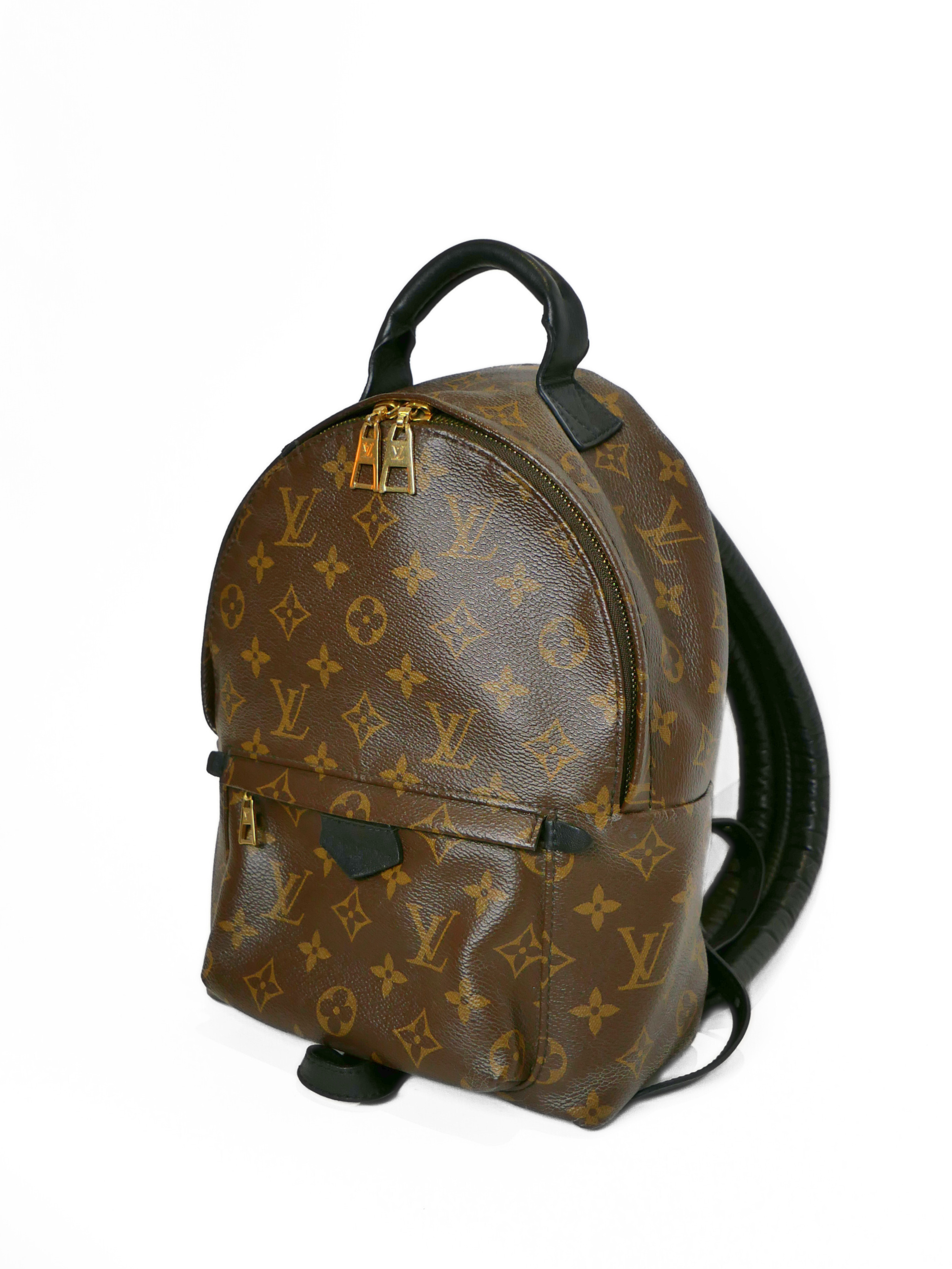 Louis Vuitton Monogram Palm Springs PM Backpack