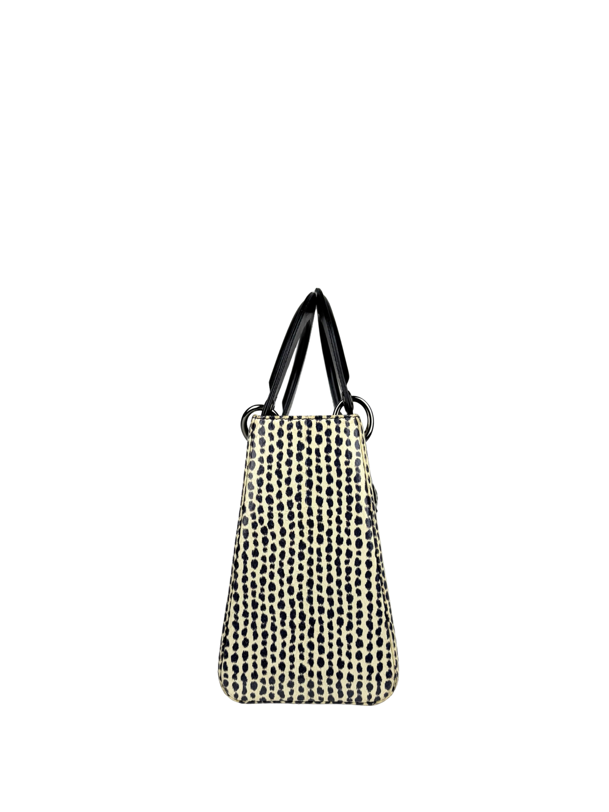 Dior Lady Dior Medium Printed Python Bag