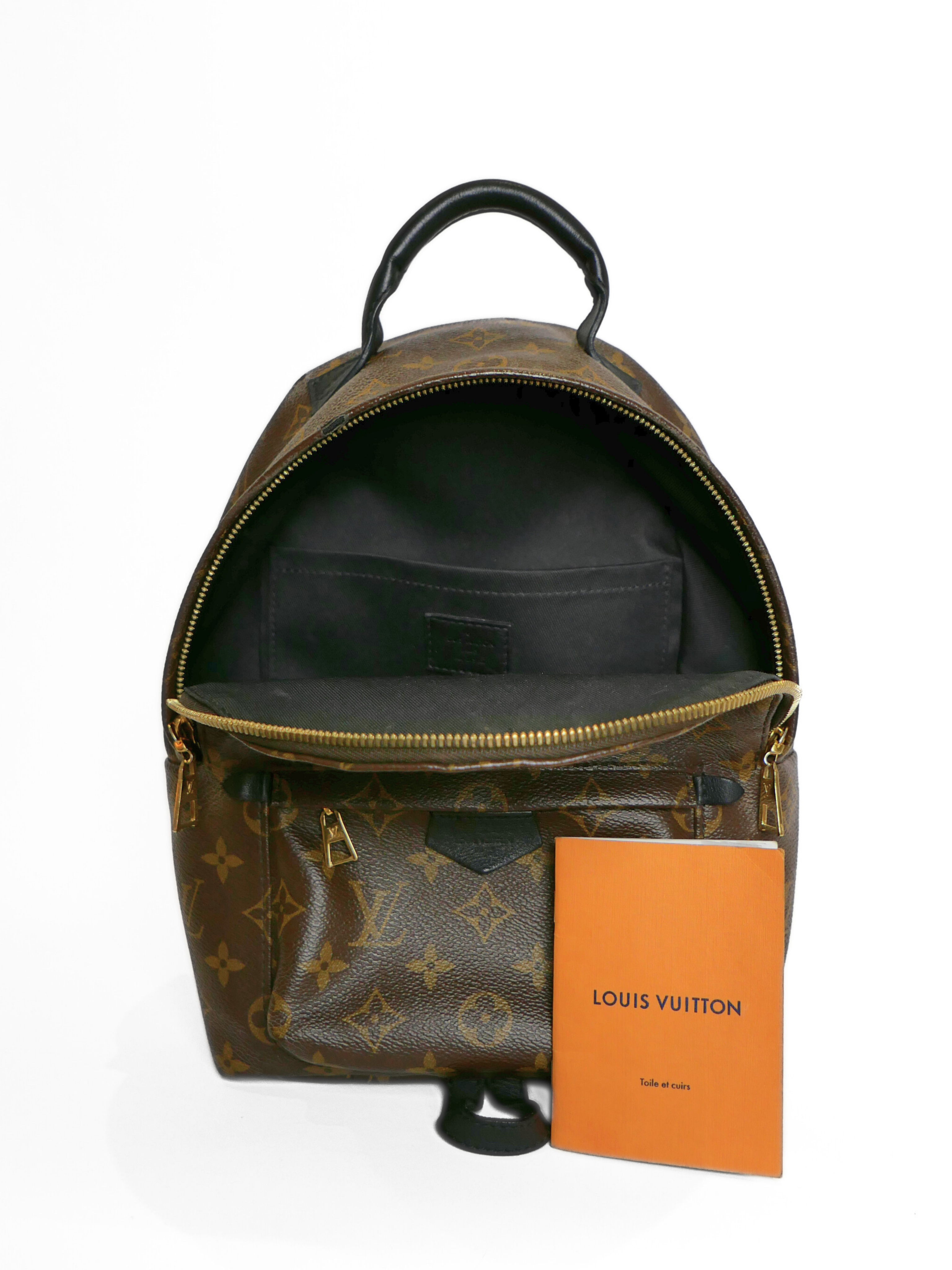 Louis Vuitton Monogram Palm Springs PM Backpack