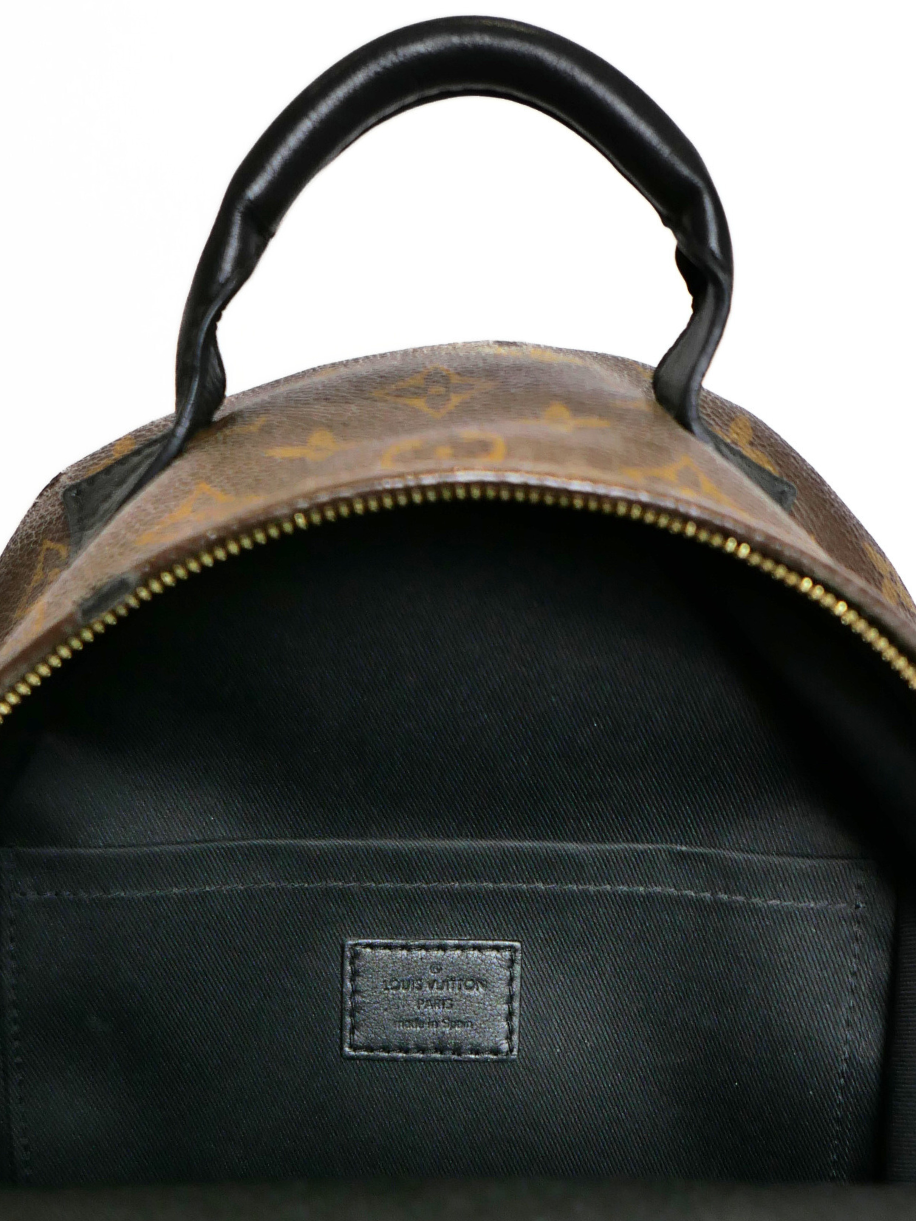 Louis Vuitton Monogram Palm Springs PM Backpack